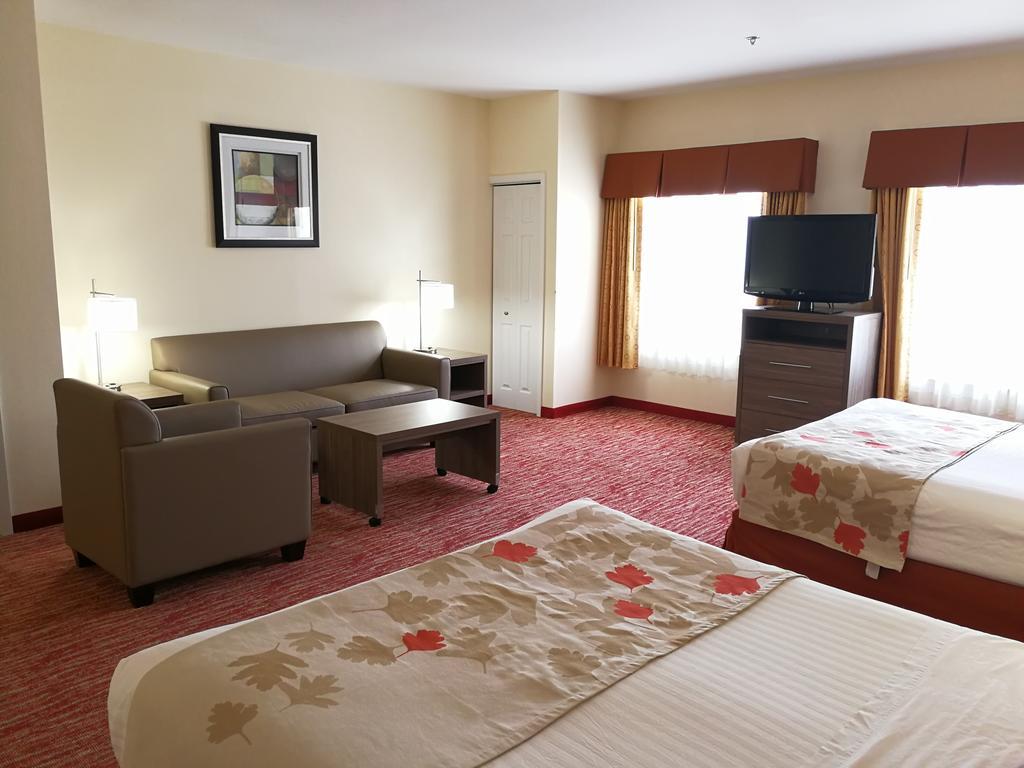 Hawthorn Suites Irving Dfw South Экстерьер фото